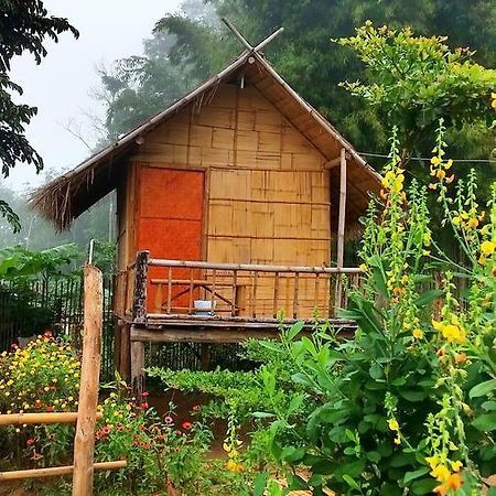 Baan Aingdoi Homestay, Chiang Dao Esterno foto
