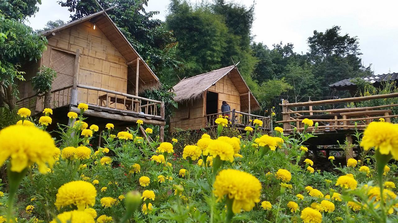 Baan Aingdoi Homestay, Chiang Dao Esterno foto