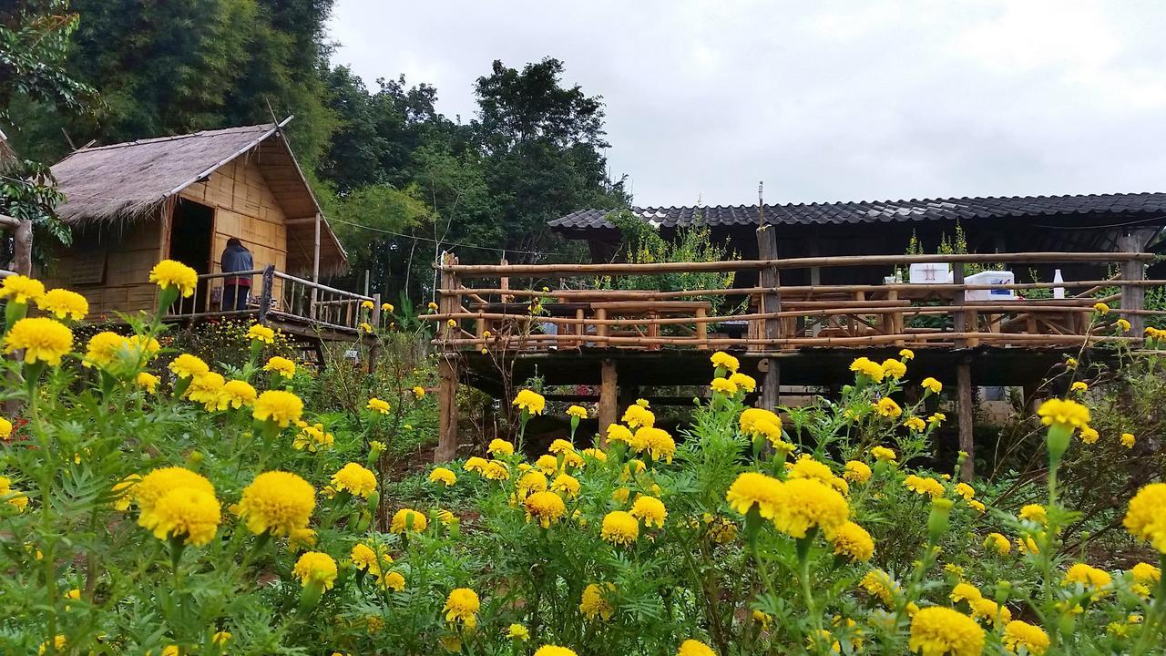 Baan Aingdoi Homestay, Chiang Dao Esterno foto