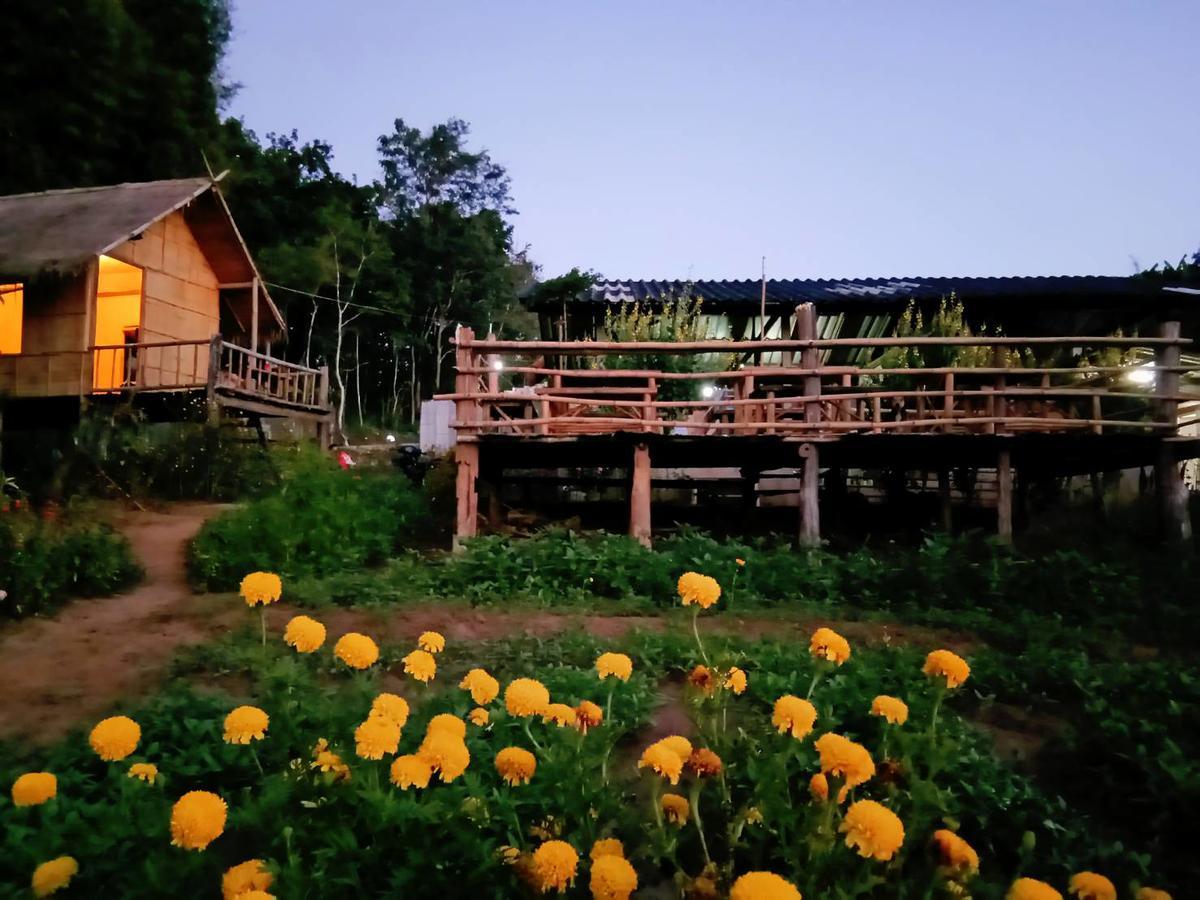 Baan Aingdoi Homestay, Chiang Dao Esterno foto
