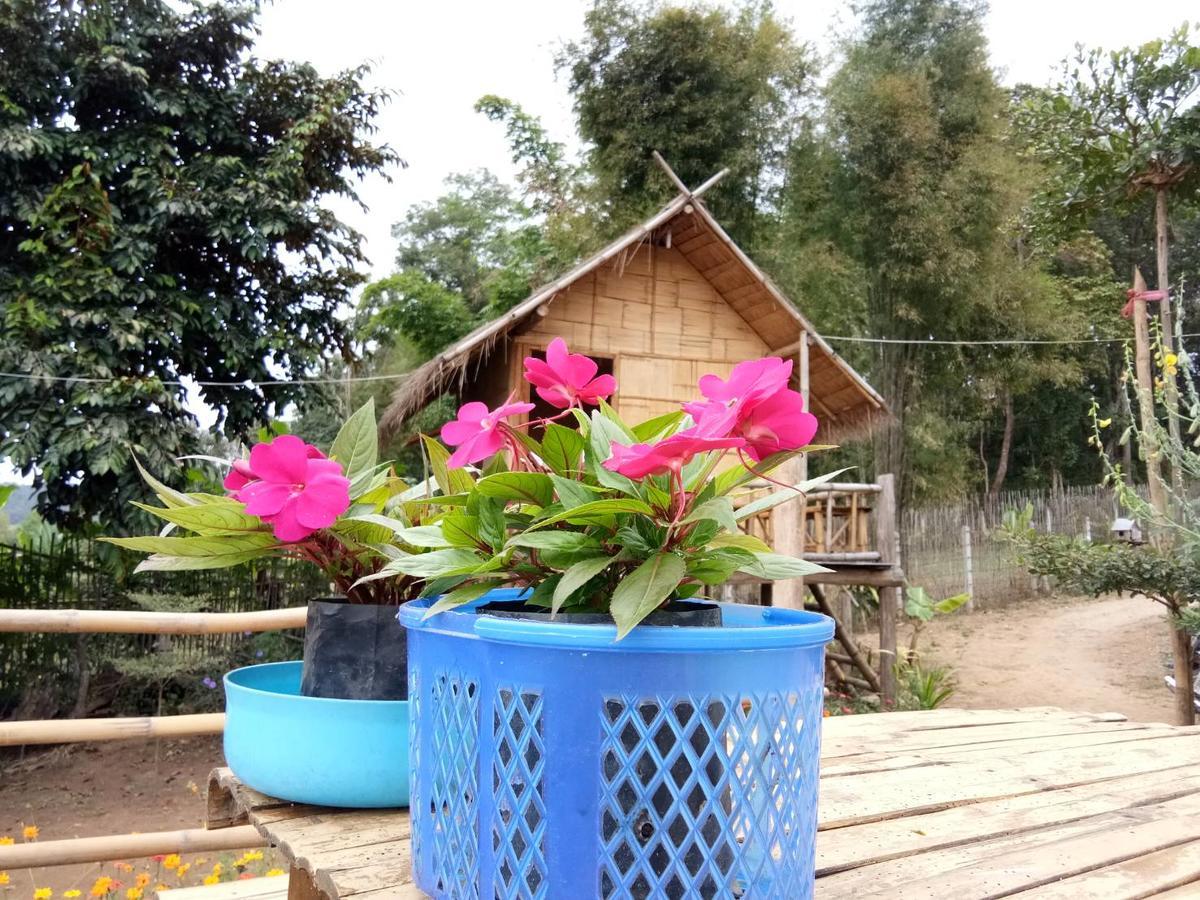 Baan Aingdoi Homestay, Chiang Dao Esterno foto