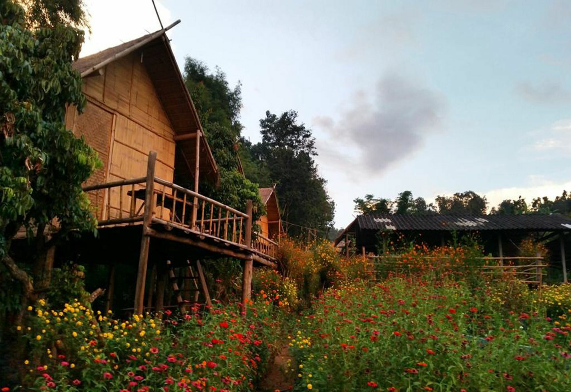 Baan Aingdoi Homestay, Chiang Dao Esterno foto
