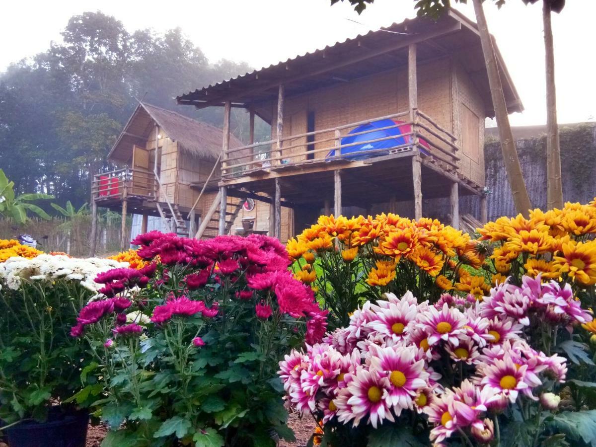Baan Aingdoi Homestay, Chiang Dao Esterno foto