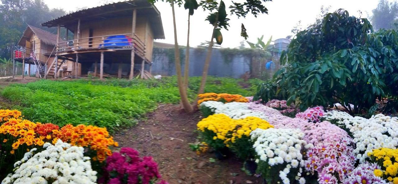 Baan Aingdoi Homestay, Chiang Dao Esterno foto