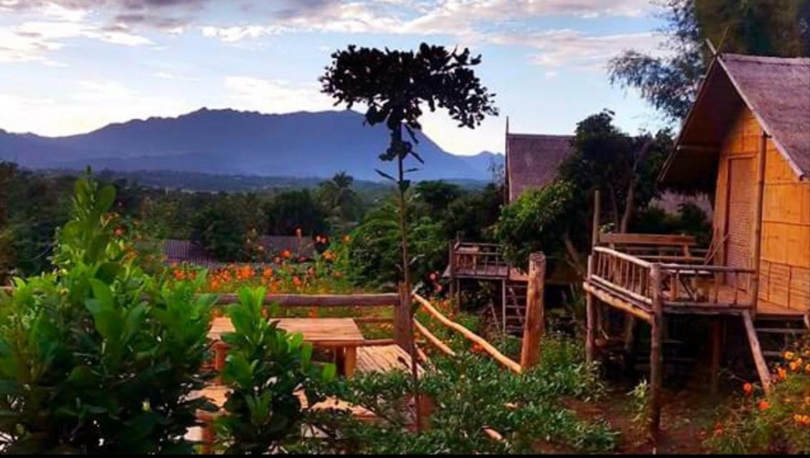 Baan Aingdoi Homestay, Chiang Dao Esterno foto