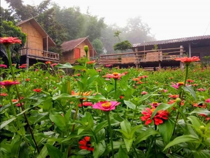 Baan Aingdoi Homestay, Chiang Dao Esterno foto