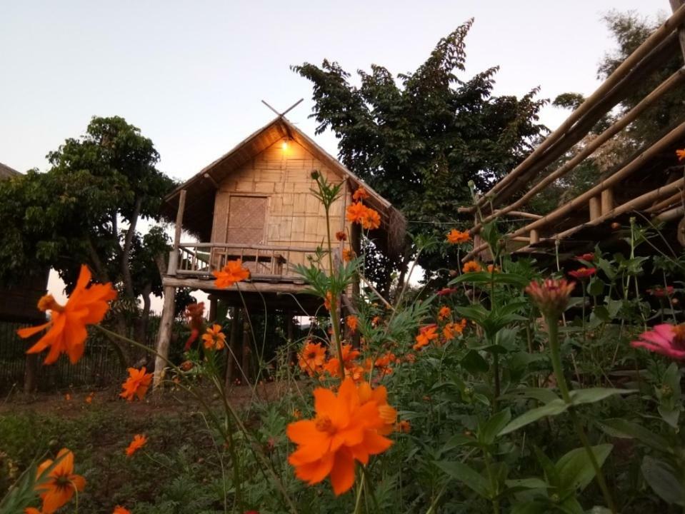 Baan Aingdoi Homestay, Chiang Dao Esterno foto