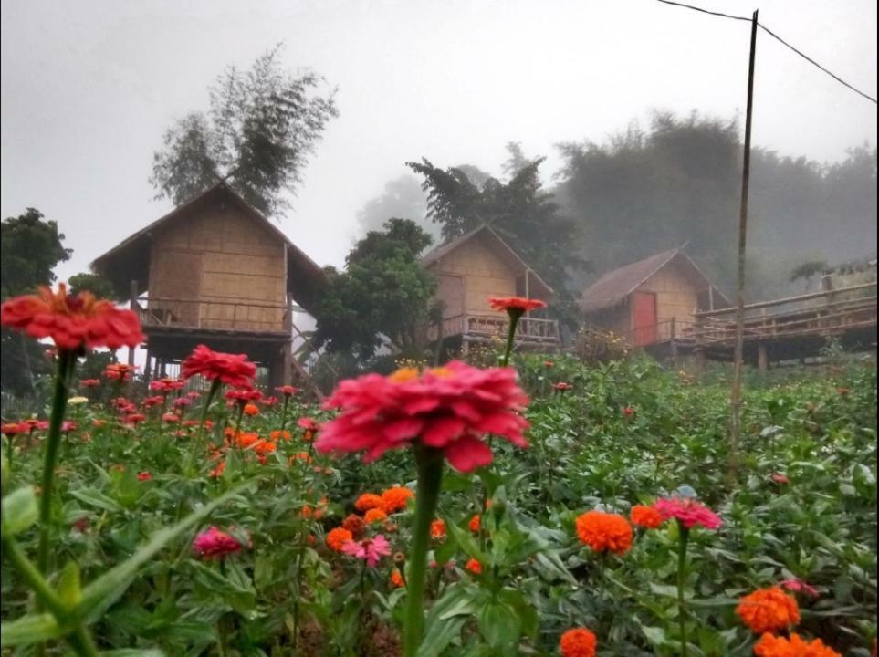 Baan Aingdoi Homestay, Chiang Dao Esterno foto